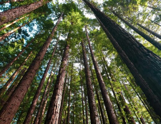 Zdjęcie do artykułu: Filtry w fotografii krajobrazowej – ND, CPL, GND i kiedy ich używać