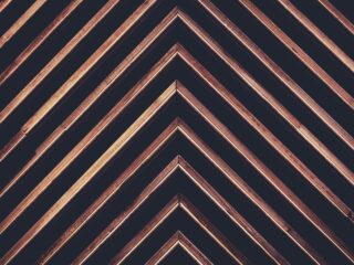 Zdjęcie do artykułu: „Scarlet” Dojy Cat – odważna zmiana stylu